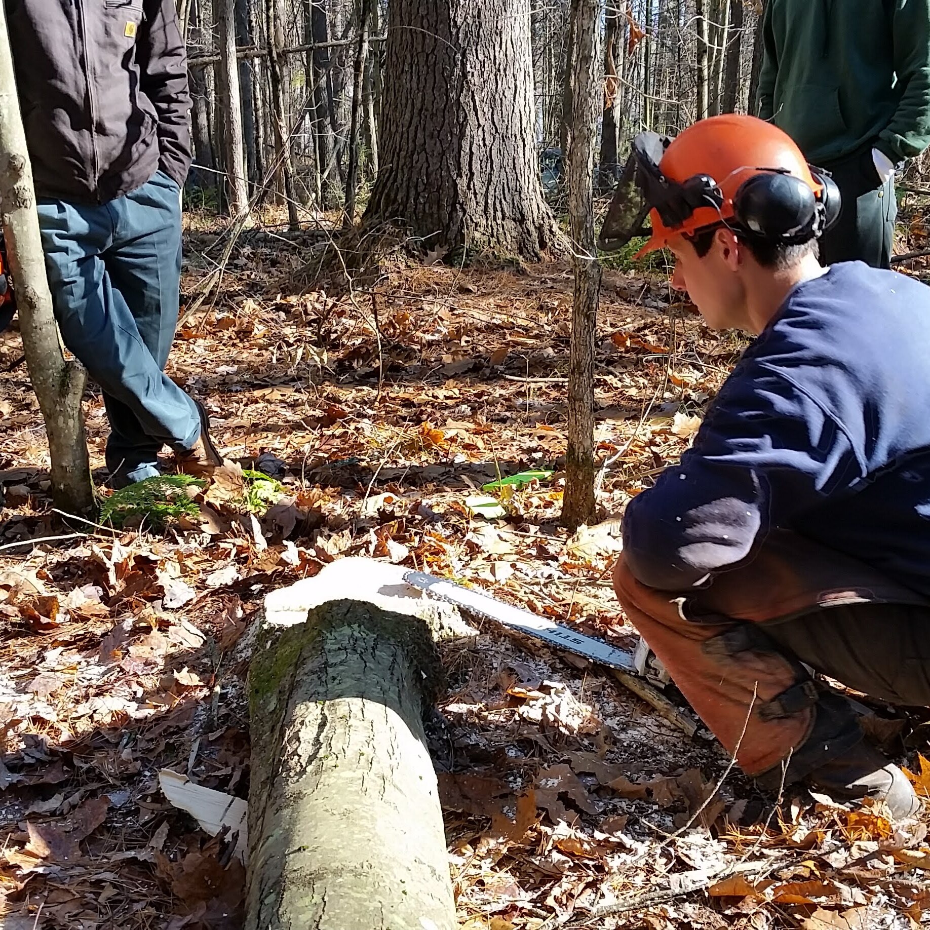 Landowner Chainsaw Safety & Maintenance - Level 1 - Ossipee - logo